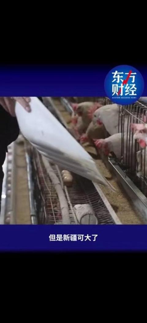 新疆快递包邮
