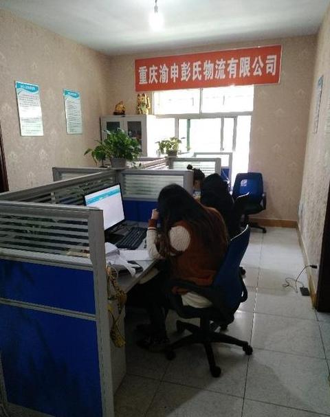 物流专员工作日常与职业发展全解析
