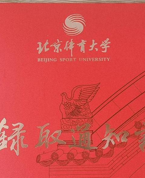 北体大热门专业解析：运动康复与科技前沿