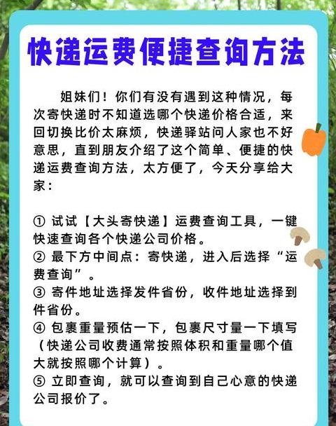 极兔快递956025查询指南