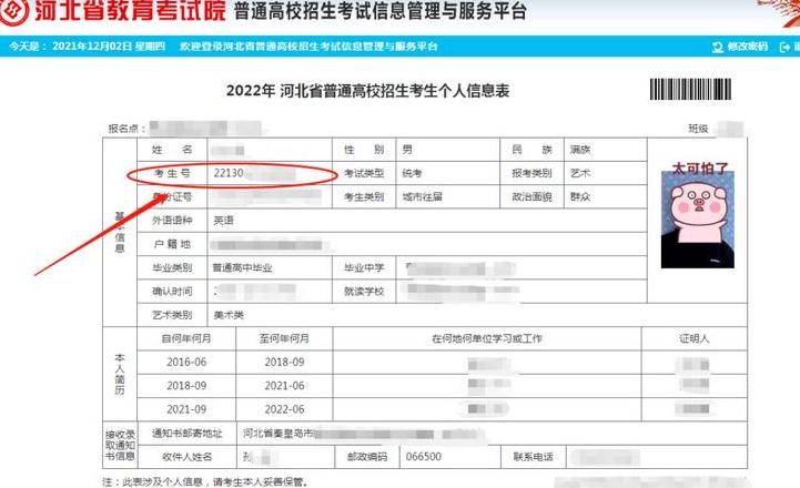 考生号查询攻略：多途径快速找回您的考生号