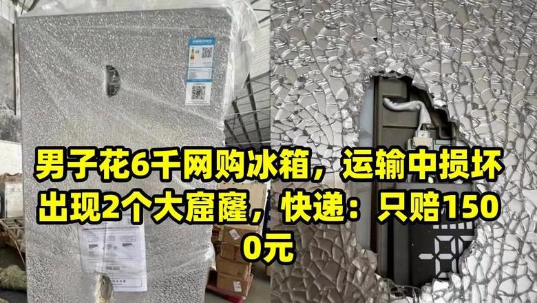 快递鱼缸损坏处理指南