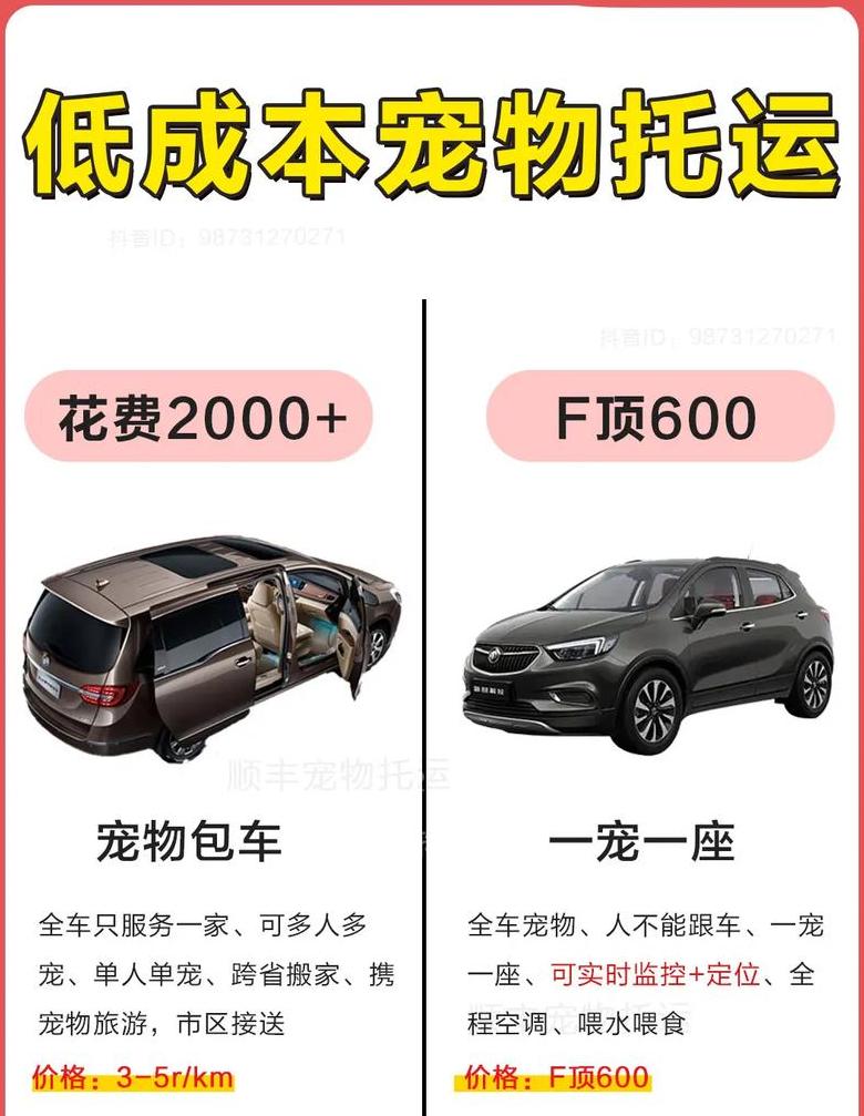 2024年顺丰宠物托运收费标准一览