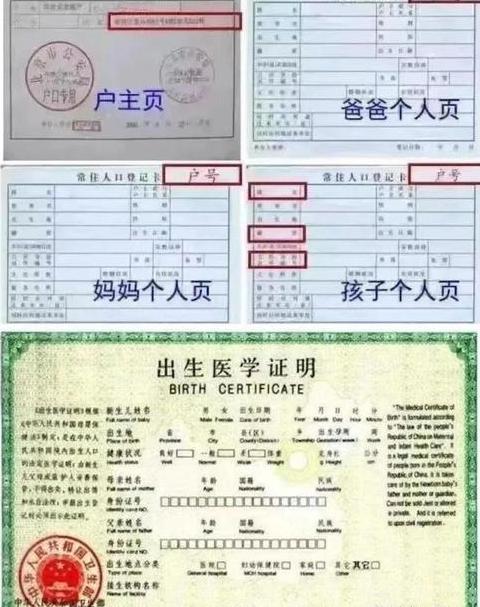 快递员证报考全攻略：必备条件及考试指南