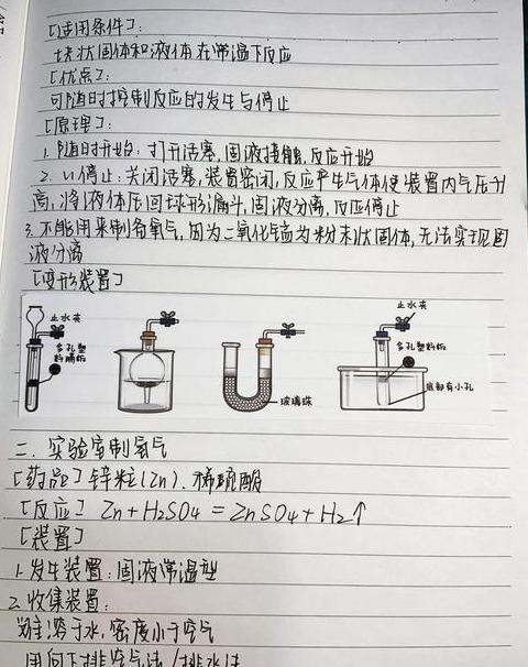 CO-IP技术详解：蛋白质泛素化检测与实验操作指南