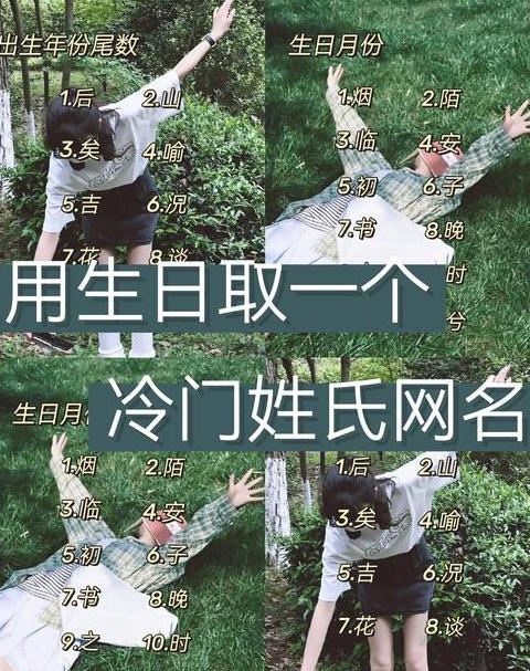 慧心独运网名中的智慧之光