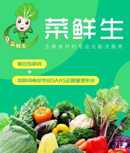 蔬菜配送加盟：退出条件与有机蔬菜加盟前景分析