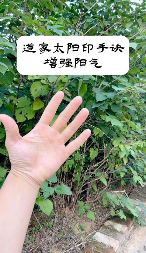 道家养生秘法：补阳睡功与蛰龙睡丹功详解