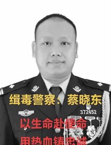 辽宁丹东凤城统计调查队：公务员编制与职业发展全解析