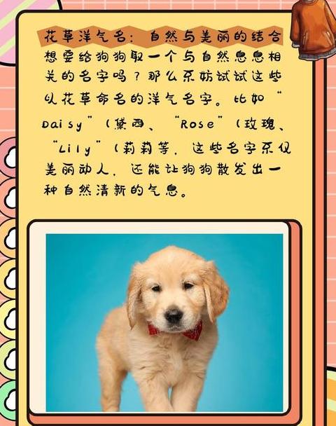 犬瘟热初期症状及治疗经验分享