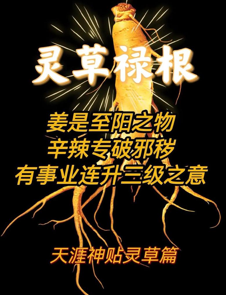 揭秘至阴至阳：阴阳之物的终极奥秘与辟邪物品排行