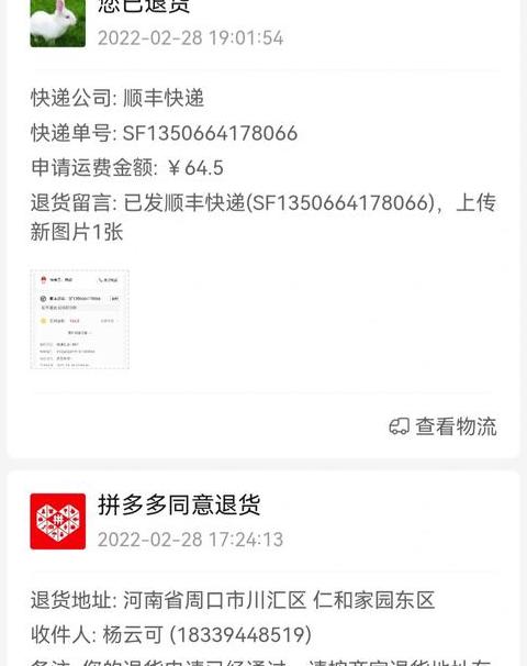 拼多多退货快递选择揭秘：顺丰、中通哪家为主？