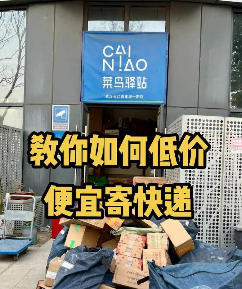 顺丰快递：农村上门服务解析及应对策略