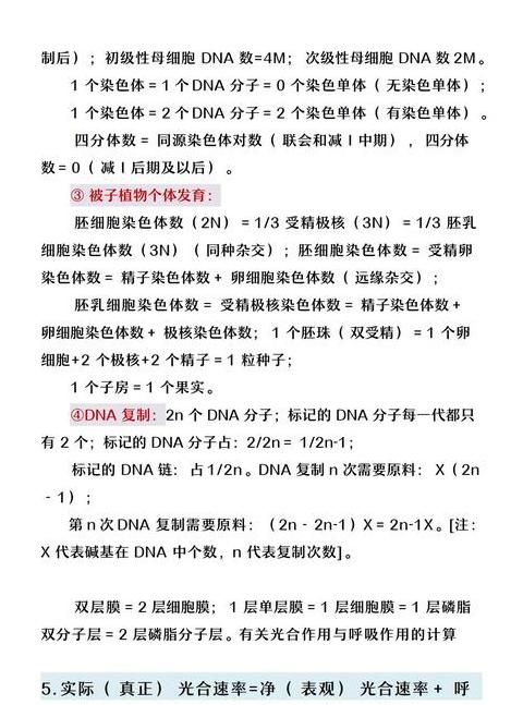 Excel高级筛选技巧：实现多条件筛选与连续数字生成