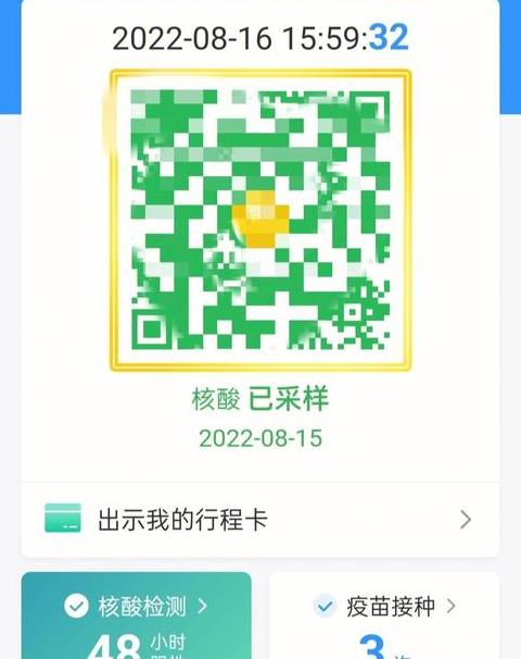 支付宝健康码查询指南：实名认证与核酸二维码获取方法