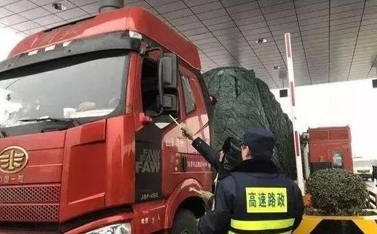 搬家帮与货运宝：服务模式与效果对比