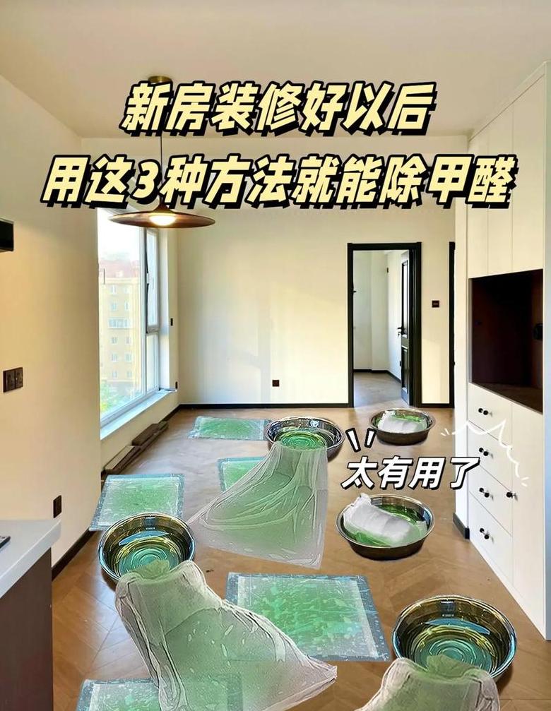 新房急入住，快速除甲醛攻略