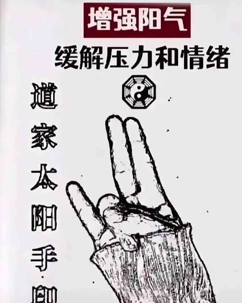 道家养生秘籍：回春功十二式详解